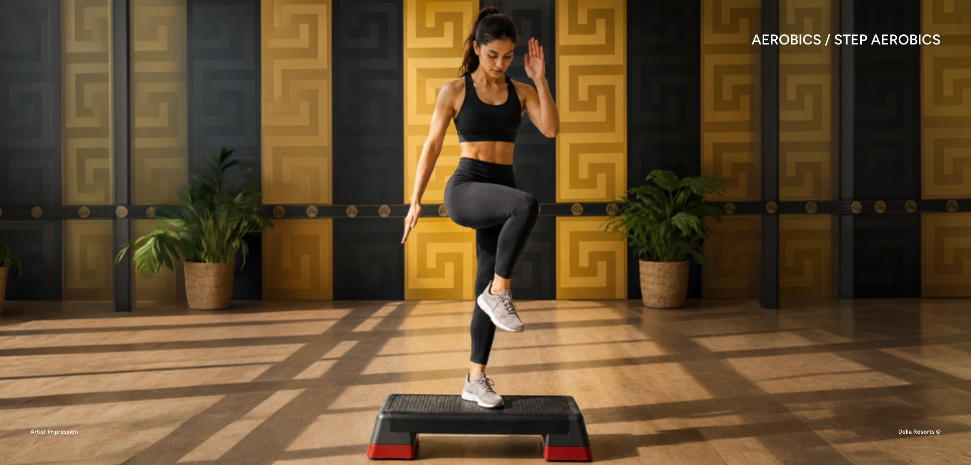 Step Aerobics
